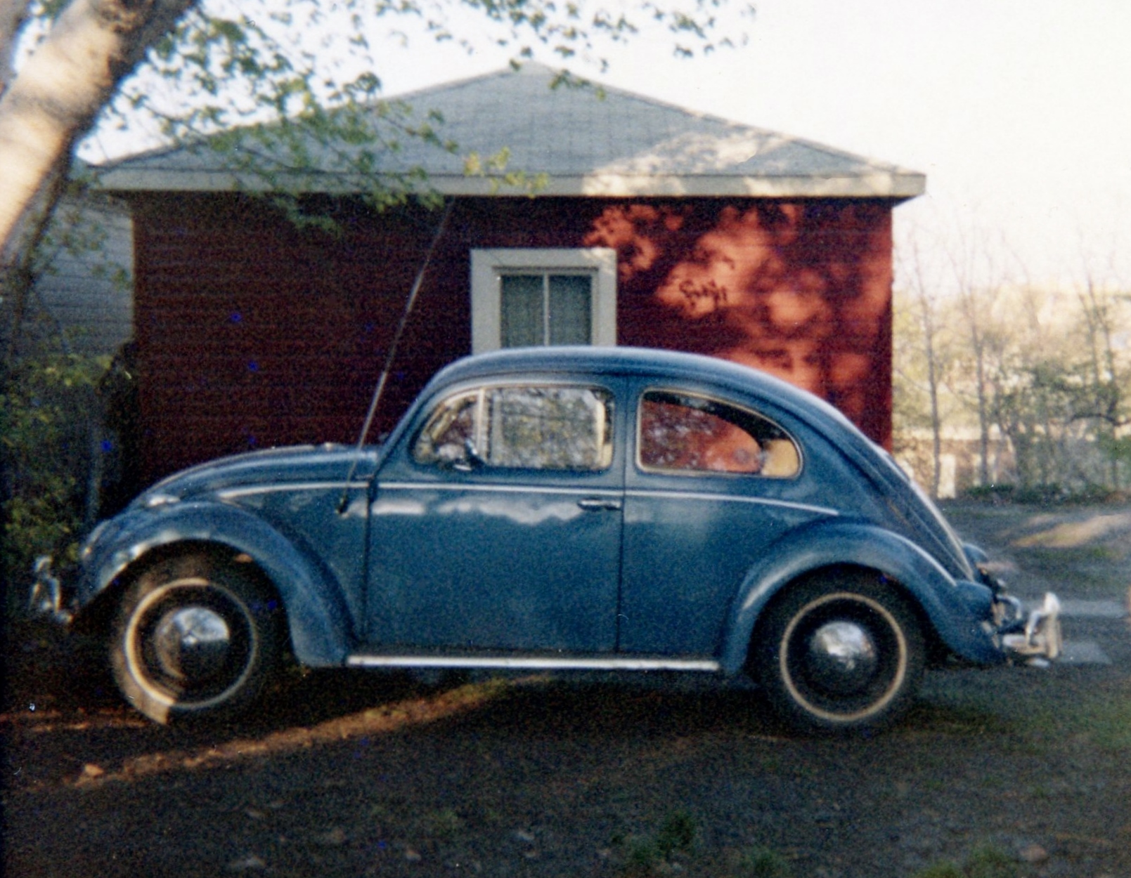 1957 Volkswagen Bug